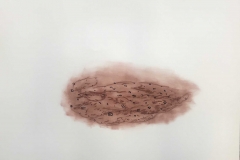 TPO180404a