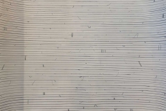 TPO180568a.JPG