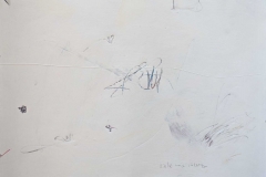 TPO180667a