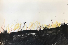 TPO181405a